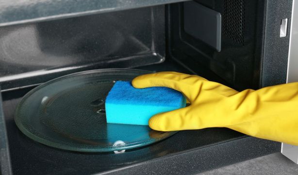 ¿Sirve realmente meter la esponja en el microondas para desinfectarla?