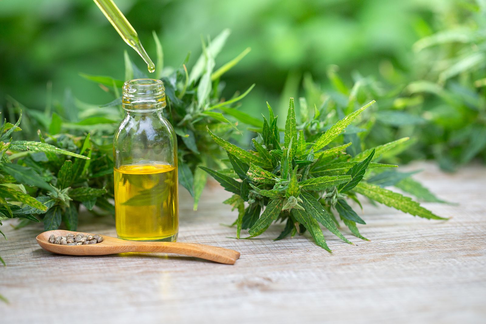El  Gobierno aprueba el uso medicinal del cannabis (Bigstock)
