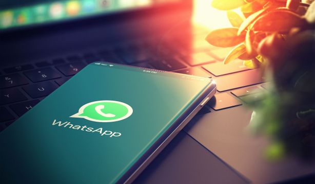 Se acabo dar tu número para hablar por WhatsApp: pronto tendrás un nombre de usuario