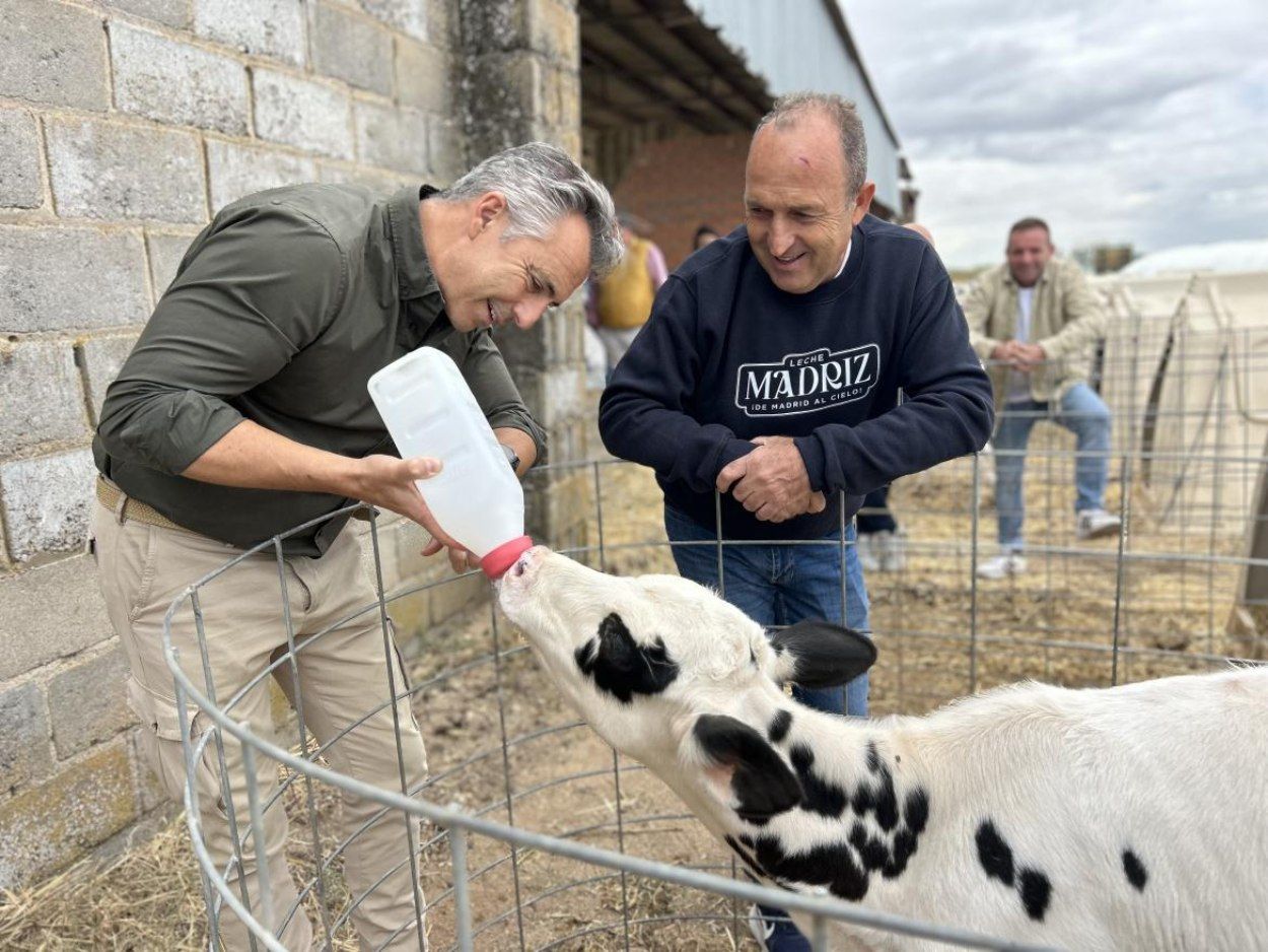 Carlos Novillo: "El campo de Madrid está muy vivo, hay emprendedores que apuestan por el rural"leche