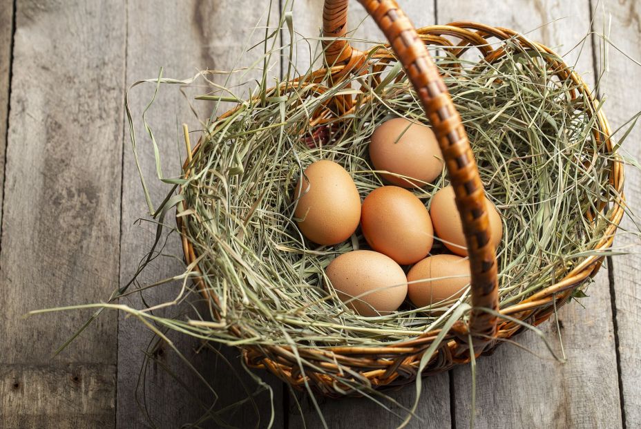 Los mayores de 65 años lideran el consumo de huevos en España Los mayores de 65 años lideran el consumo de huevos en España