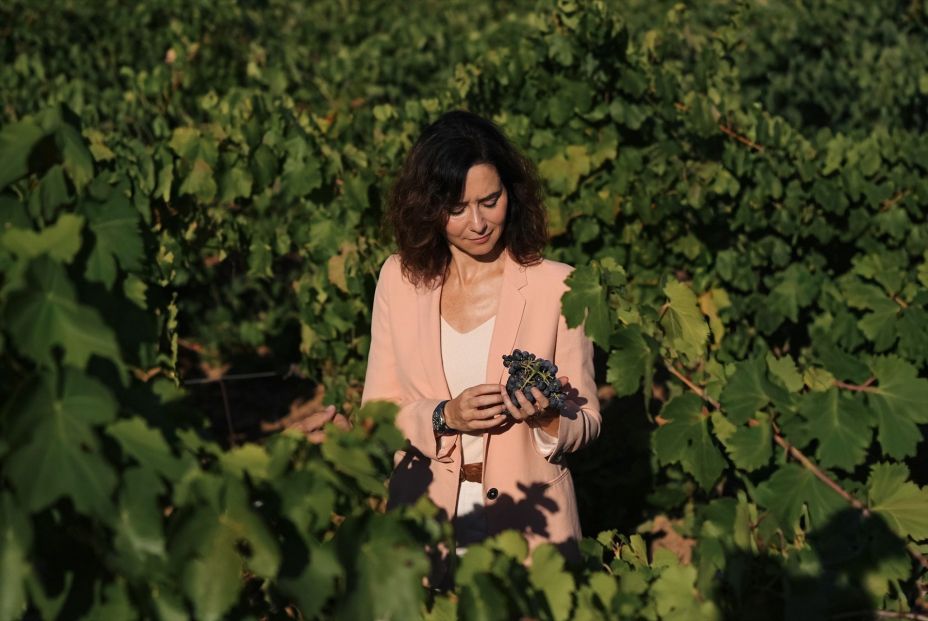 La Comunidad de Madrid recupera su marca propia de vino tinto, Encinero y ultima un vino blanco. Foto: EuropaPress