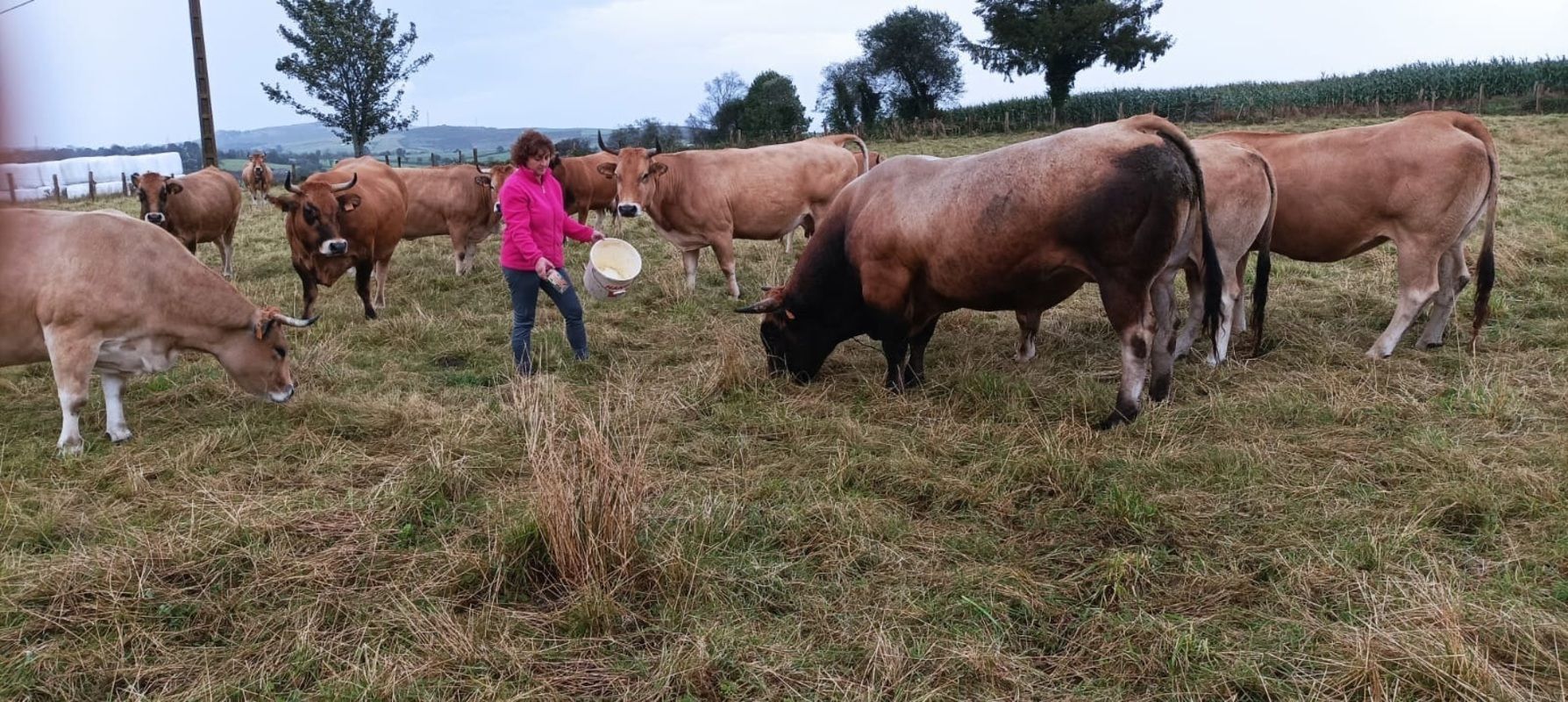 Una de cada cinco mujeres rurales en España se lanza a emprender. Fuente: EuropaPress.