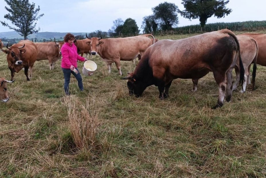 Una de cada cinco mujeres rurales en España se lanza a emprender. Fuente: EuropaPress.