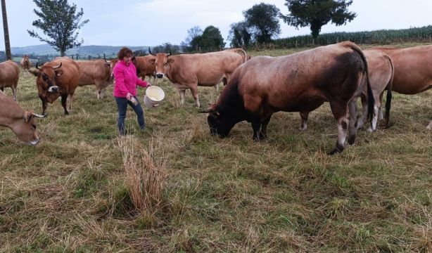 Una de cada cinco mujeres rurales en España se lanza a emprender. Fuente: EuropaPress.