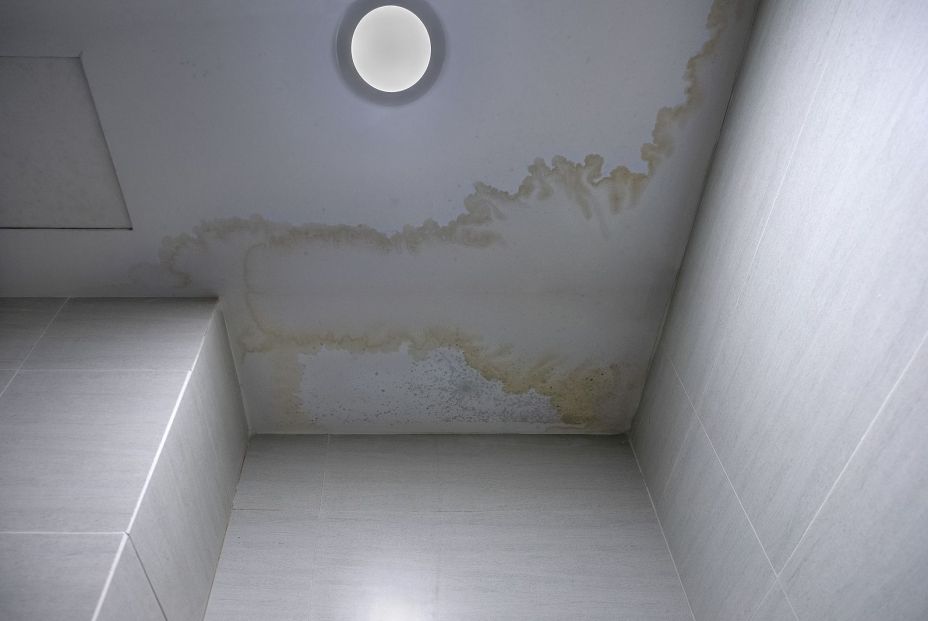El truco definitivo para eliminar el moho del techo del baño El truco definitivo para eliminar el moho del techo del baño