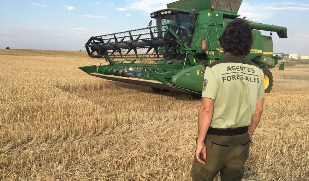 El Gobierno aprueba adelantar hasta 6 años la jubilación de los agentes forestales