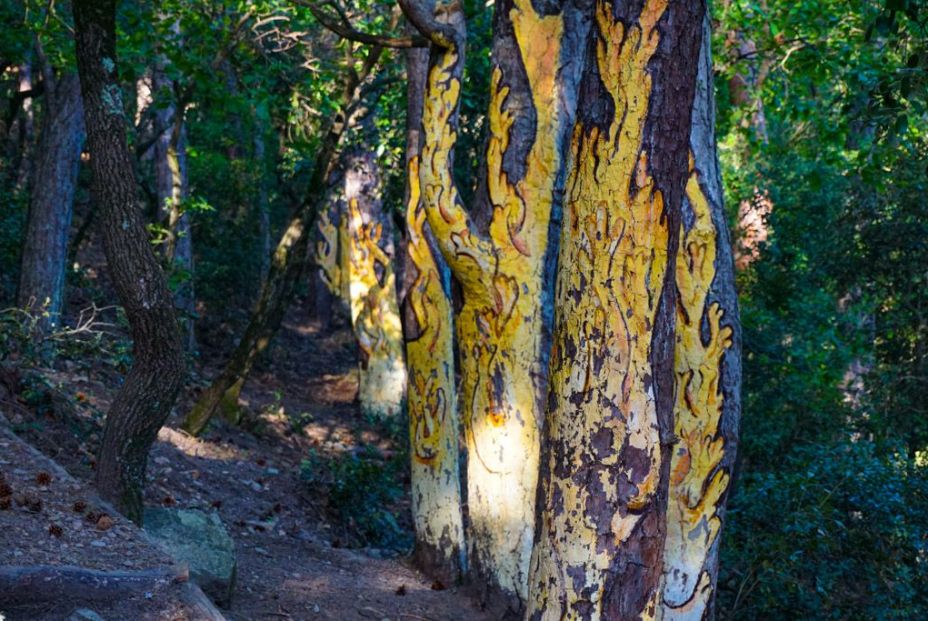 7 rutas originales para disfrutar de la naturaleza este otoño 7 rutas originales para disfrutar de la naturaleza este otoño