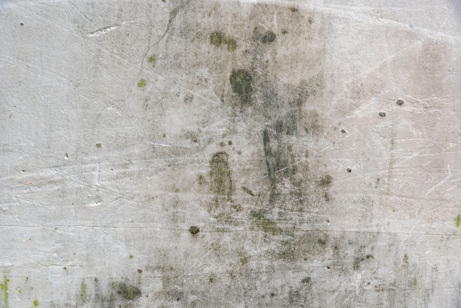 Adiós al moho en las paredes: el método casero que recomiendan los pintores. Fuente: freepik.