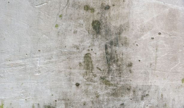 El peligro invisible en casa: moho, velas aromáticas y tecnología bajo sospecha