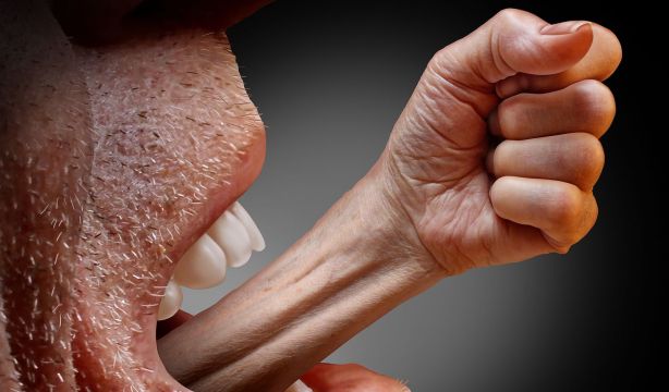 La ciencia desvela las causas de la creciente polarización en el mundo occidental. Foto: BigStock