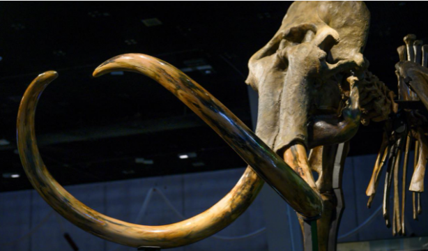 Captura de pantalla 2025 10 29 111223 Captura de pantalla 2025 10 29 111223