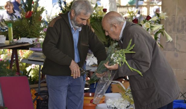 Las flores más demandadas para el Día de Todos los Santos