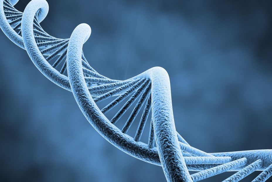 Descubren señales moleculares en el ADN que explican la inflamación crónica de las arterias Descubren señales moleculares en el ADN que explican la inflamación crónica de las arterias