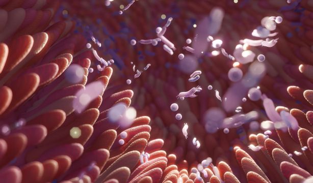 Nuevos biomarcadores revolucionan alergias vegetales