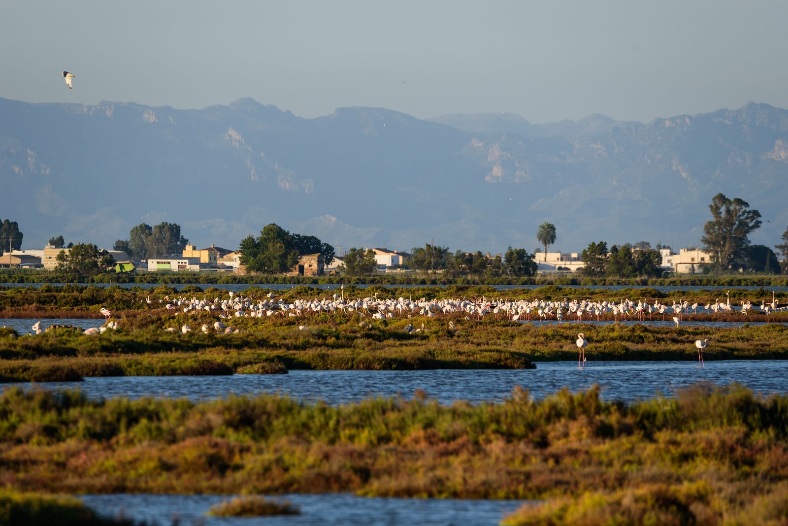 Delta del Ebro