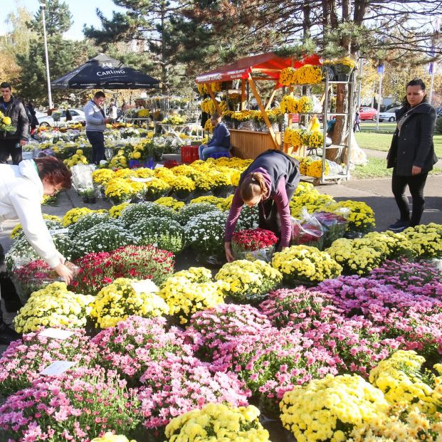 Flores para el Día de los Difuntos