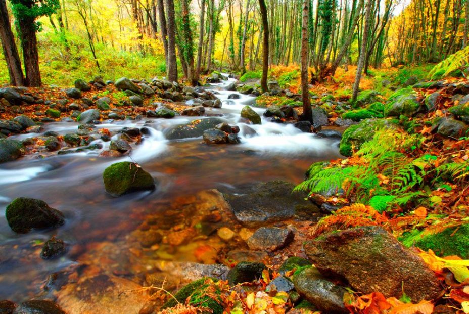 rio oto o magico valle ambroz 2015