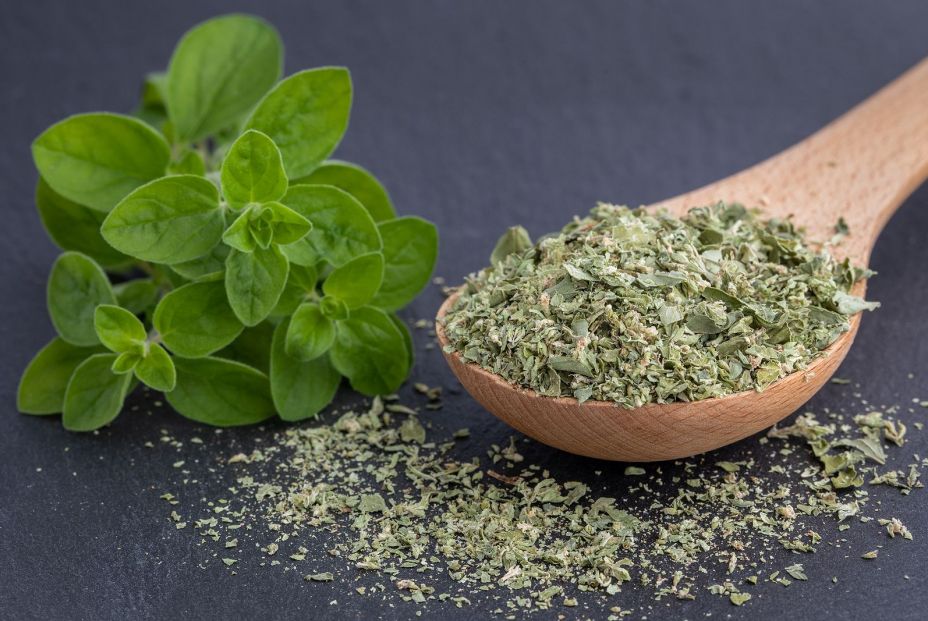 Foto: Bigstock Foto: Bigstock