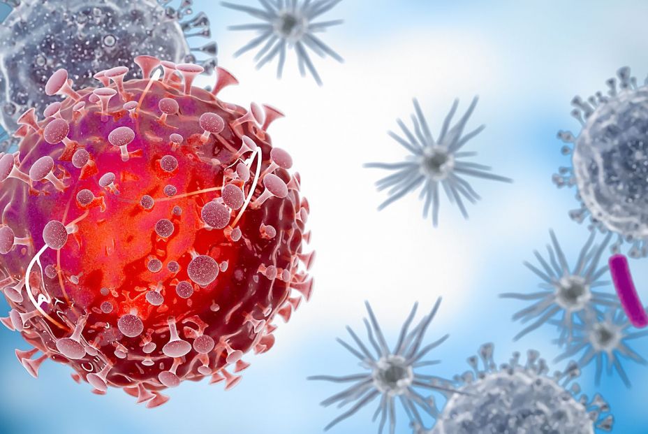 Infografía de células del virus. (Bigstock) Infografía de células del virus. (Bigstock)