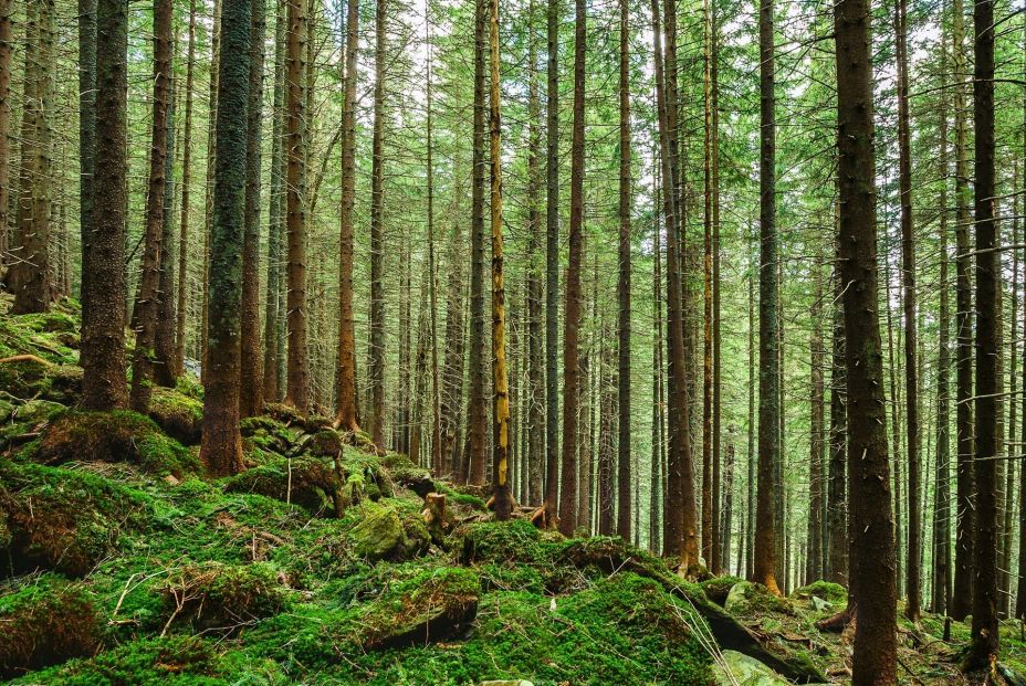 Foto: Europa Press Foto: Europa Press