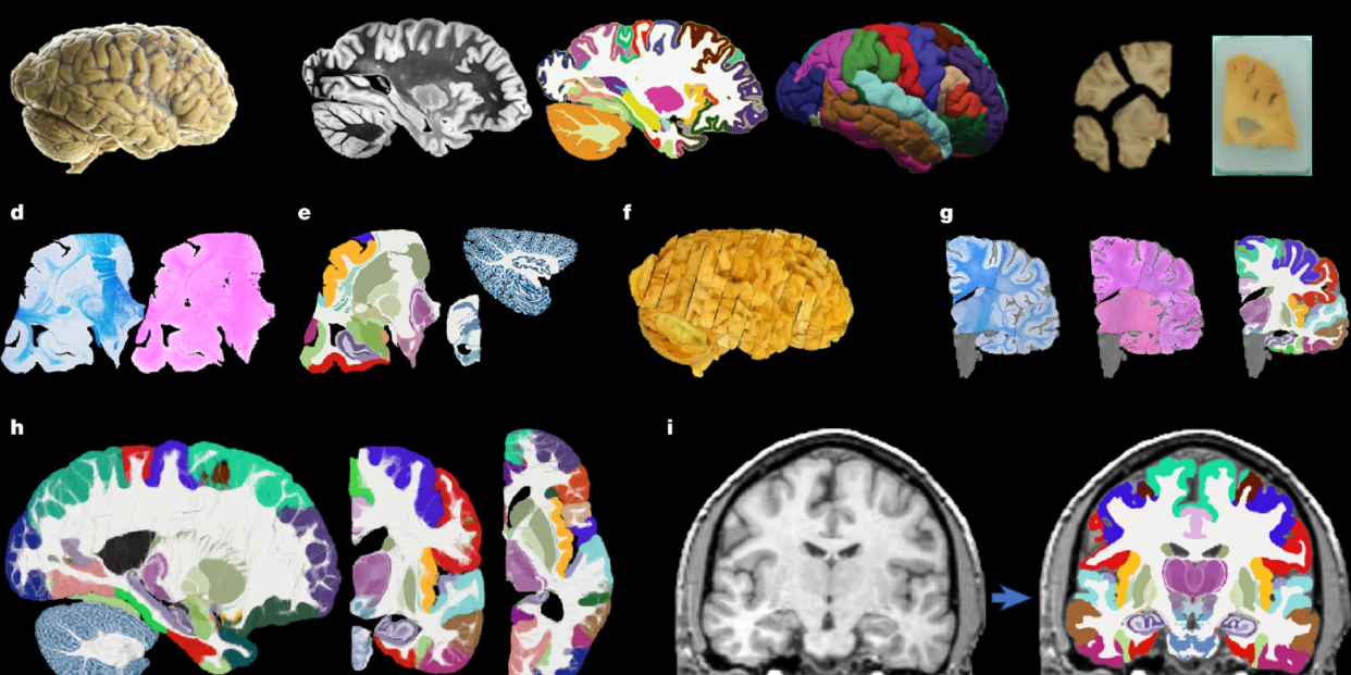 Captura de pantalla 2025 11 07 122539 Captura de pantalla 2025 11 07 122539