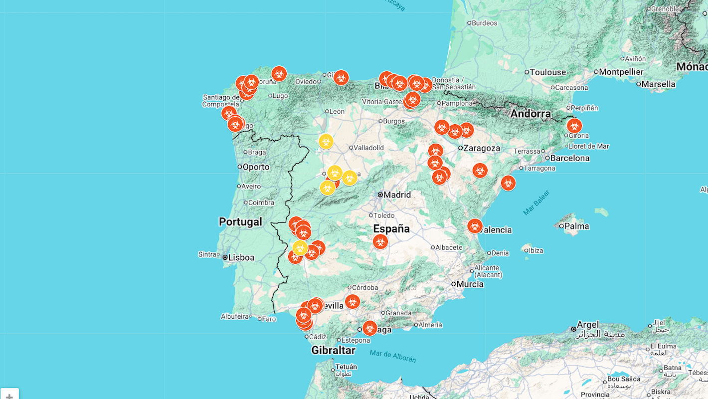El mapa de la gripe aviar en España: unos 50 episodios que afectan a una veintena de especies