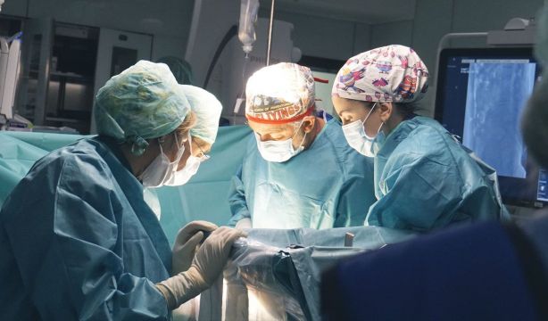 Logran que un riñón de cerdo funcione dos meses en un hombre con muerte cerebral