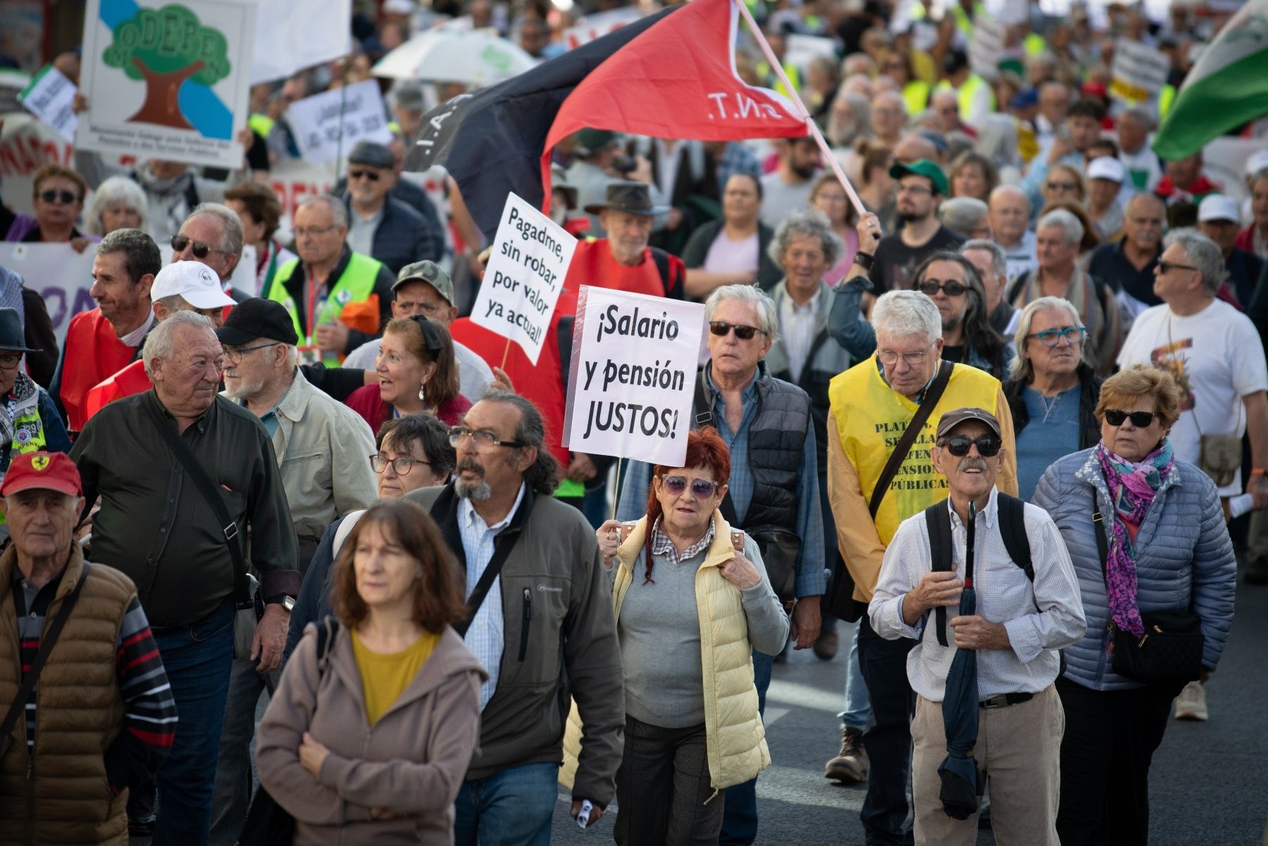 El número de pensiones aumentará en 6 millones hasta 2055, pero sin riesgo de impago, según AIReF El número de pensiones aumentará en 6 millones hasta 2055, pero sin riesgo de impago, según AIReF