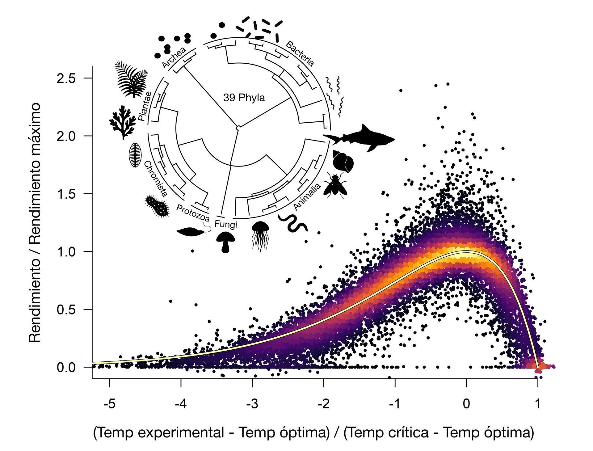 Una ecuación universal revela cómo la temperatura afecta a toda la vida en el planeta. Fuente: Europa Press.
