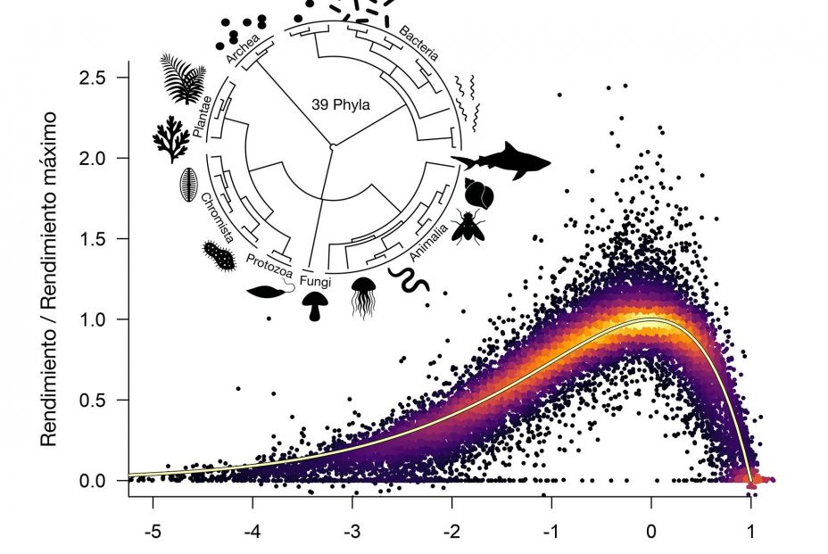 Una ecuación universal revela cómo la temperatura afecta a toda la vida en el planeta. Fuente: Europa Press. Una ecuación universal revela cómo la temperatura afecta a toda la vida en el planeta. Fuente: Europa Press.