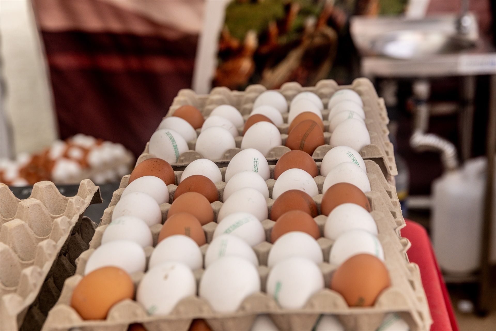 El Gobierno abre la puerta a intervenir el precio de los huevos