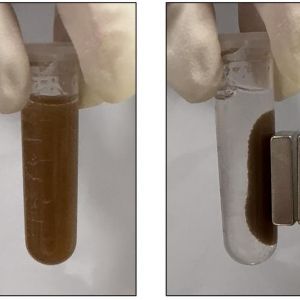 Las 'píldoras' del estudio. Las 'píldoras' del estudio.