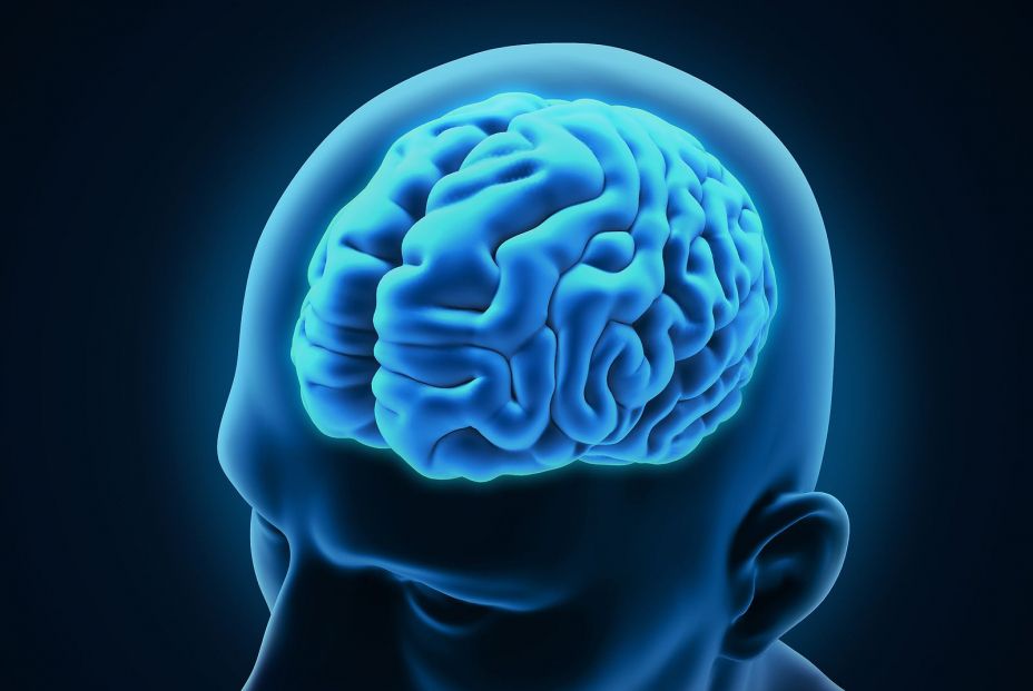 El neurólogo Pascual-Leone avisa de que el actual modelo de salud cerebral "está roto" El neurólogo Pascual-Leone avisa de que el actual modelo de salud cerebral "está roto"