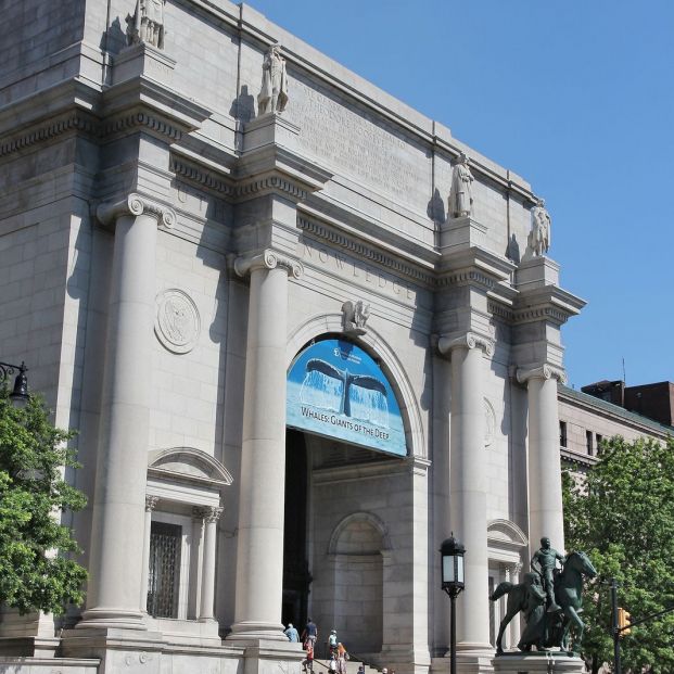 American Museum of Natural History