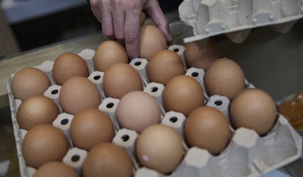Huevos