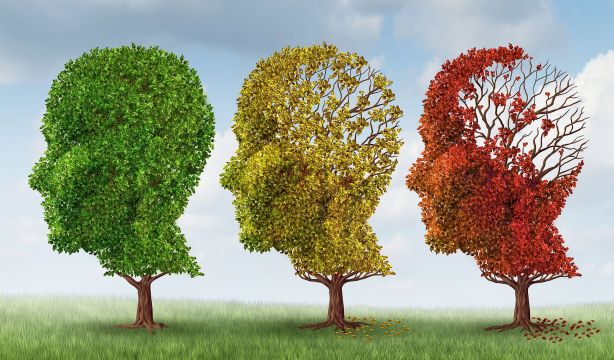 CEAFA reclama dar más importancia al diagnóstico diferencial en demencias