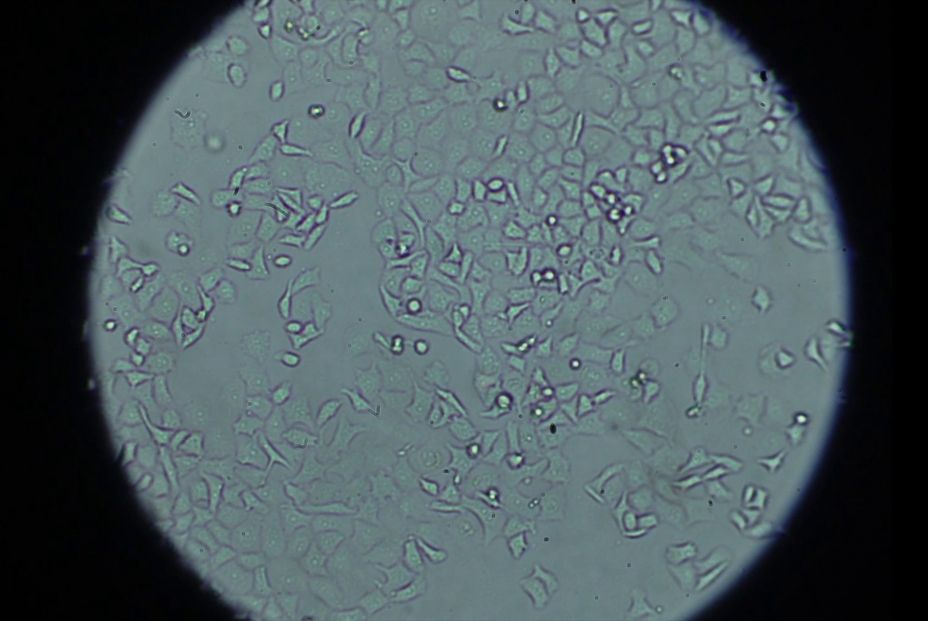 Foto: Europa Press. Foto: Europa Press.