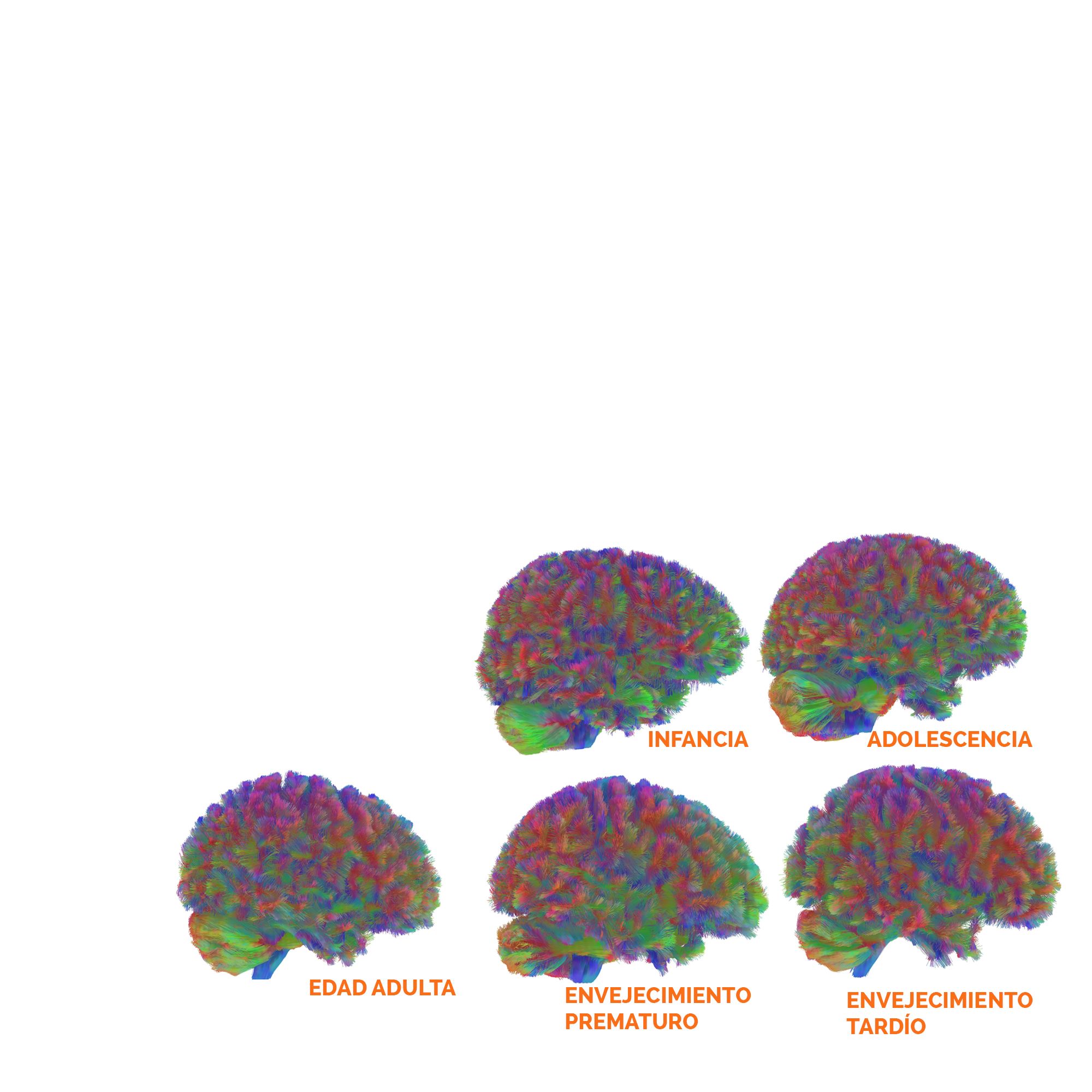 Edades Portada copia