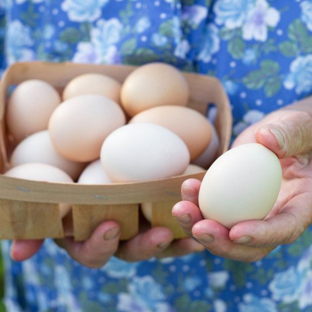 Los mejores consejos para hacer un flan de huevo casero perfecto