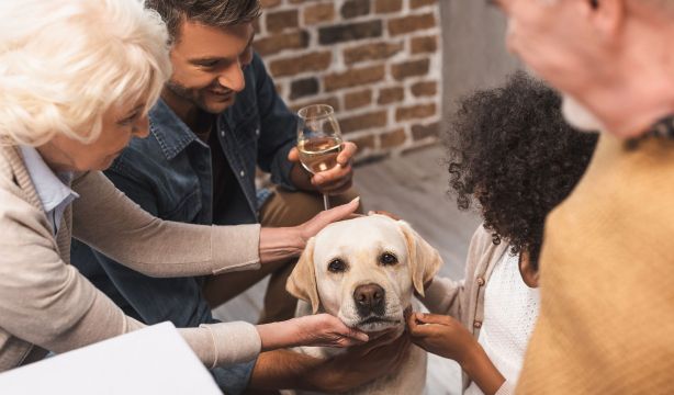 Tu golden retriever se parece a ti más de lo que crees