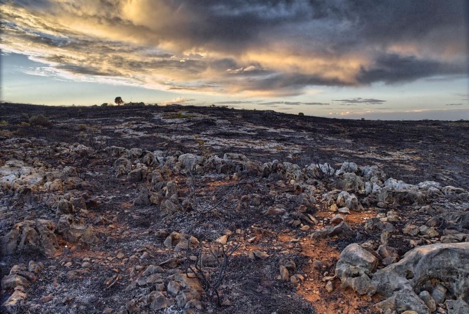 Foto: Europa Press. Foto: Europa Press.