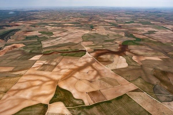 España frente a la desertificación: casi la mitad del territorio ya está degradado. Foto: Europa Press.
