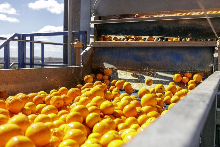 El PP pide al Gobierno combatir la "desinformación" sobre el zumo de naranja natural 100% exprimido (EuropaPress)