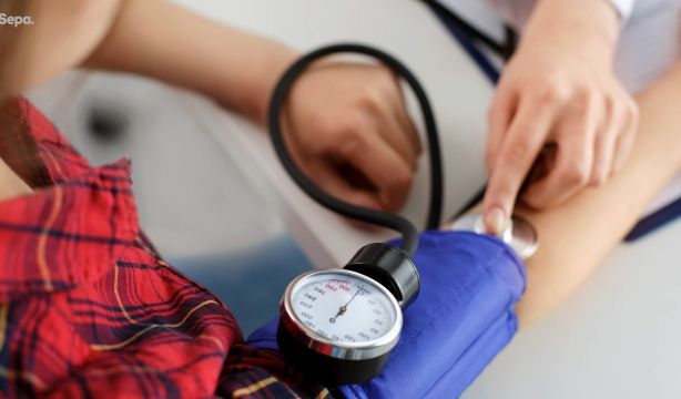 Descubren cómo la hipertensión arterial aumenta el daño al corazón causado por un fármaco oncológico