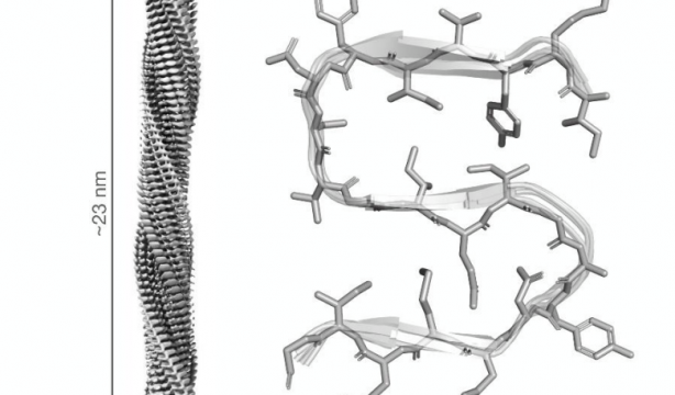 Screenshot 2025 12 02 at 10.54.56 Screenshot 2025 12 02 at 10.54.56