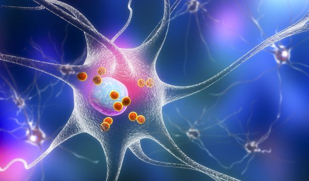 Revelan la estructura de una proteína clave en enfermedades neurodegenerativas