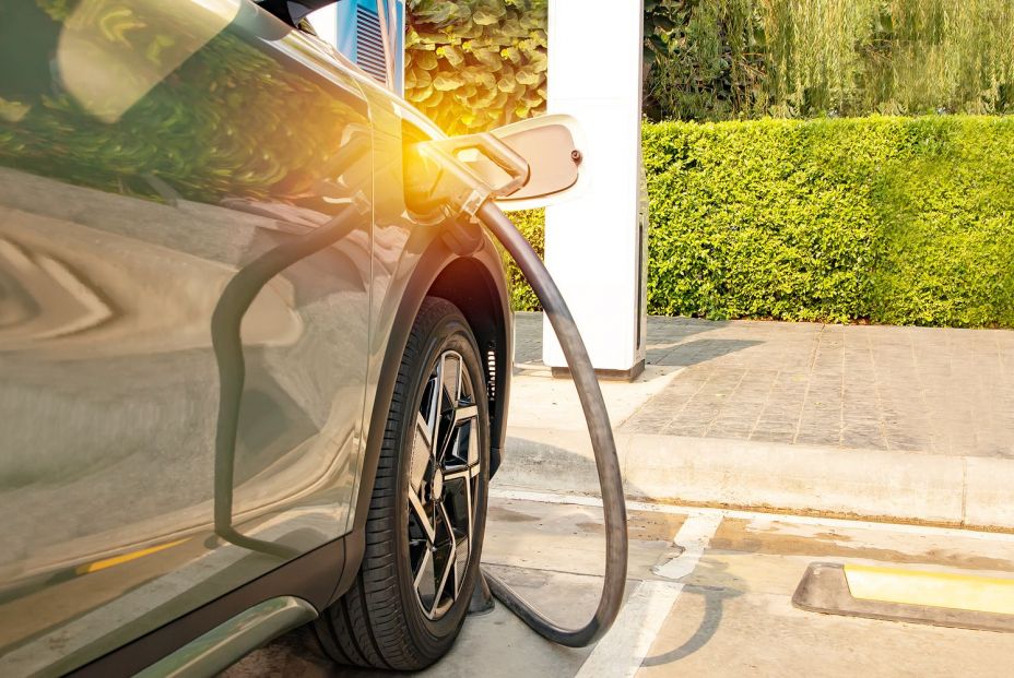 Foto: Bigstock. Foto: Bigstock.