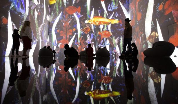 Una experiencia inmersiva única dota de movimiento obras de Monet, Gauguin y Kandinski. Fuente: Europa Press.