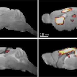 Foto: Europa Press. Foto: Europa Press.